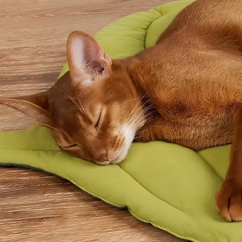 Cojín Reversible para Mascotas - Outdoor Camping Dog Bed reseña y precio
