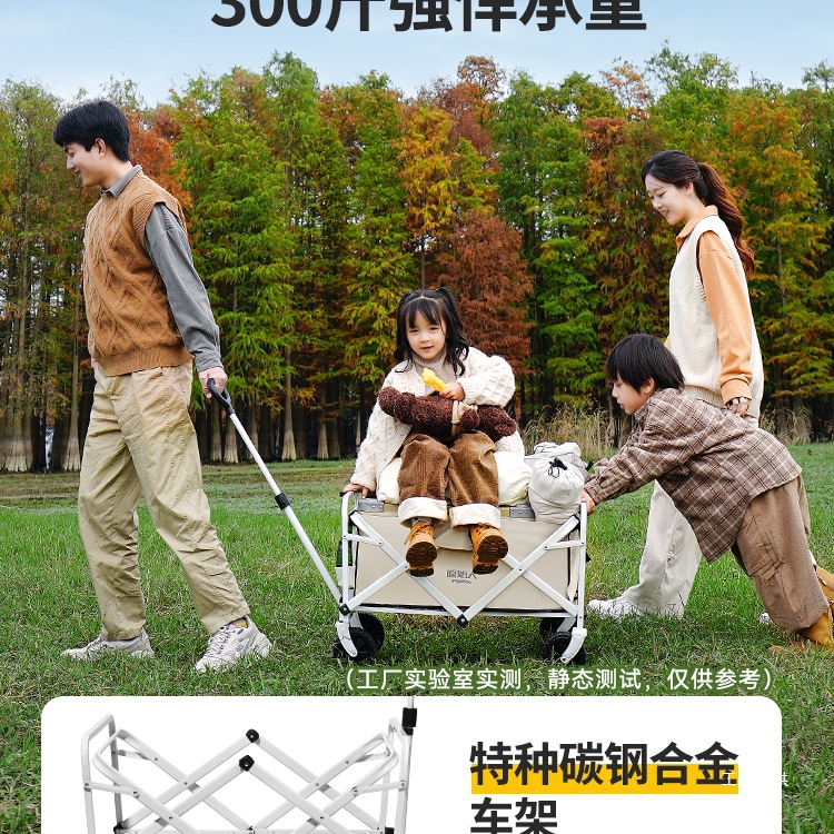 Carrito de camping plegable pa - Outdoor Camping Exhibition reseña y precio