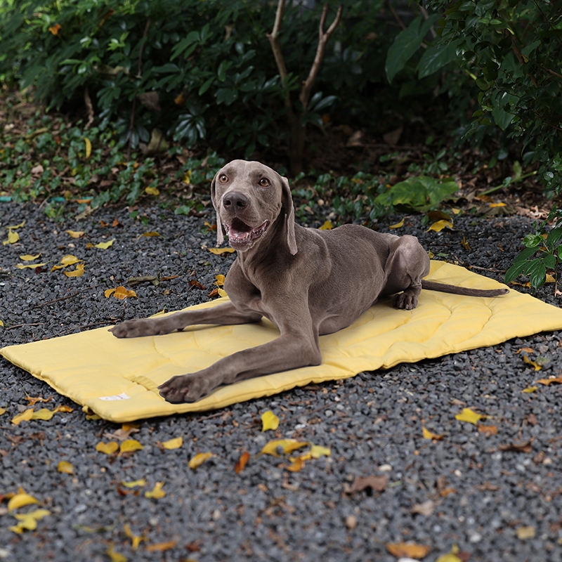 Alfombrilla portátil plegable  - Outdoor Camping Dog Bed reseña y precio