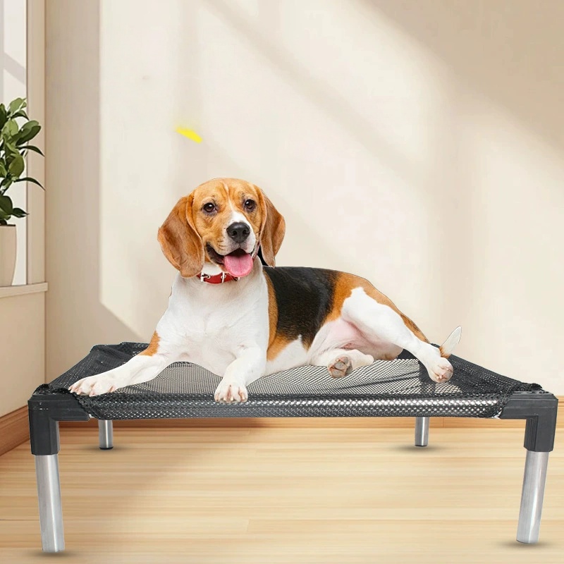 Cama para perros elevada con e - Outdoor Camping Dog Bed reseña y precio