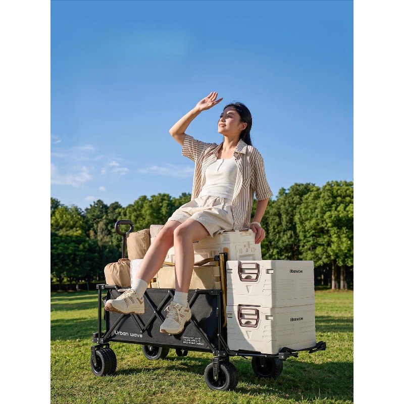 Carrito de Camping Plegable, C - Outdoor Camping Trolley reseña y precio