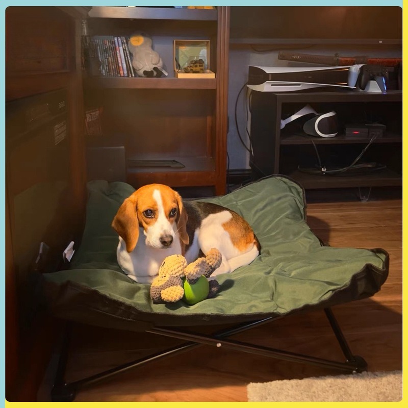 Cama Plegable Portátil para Ma - Outdoor Camping Dog Bed reseña y precio
