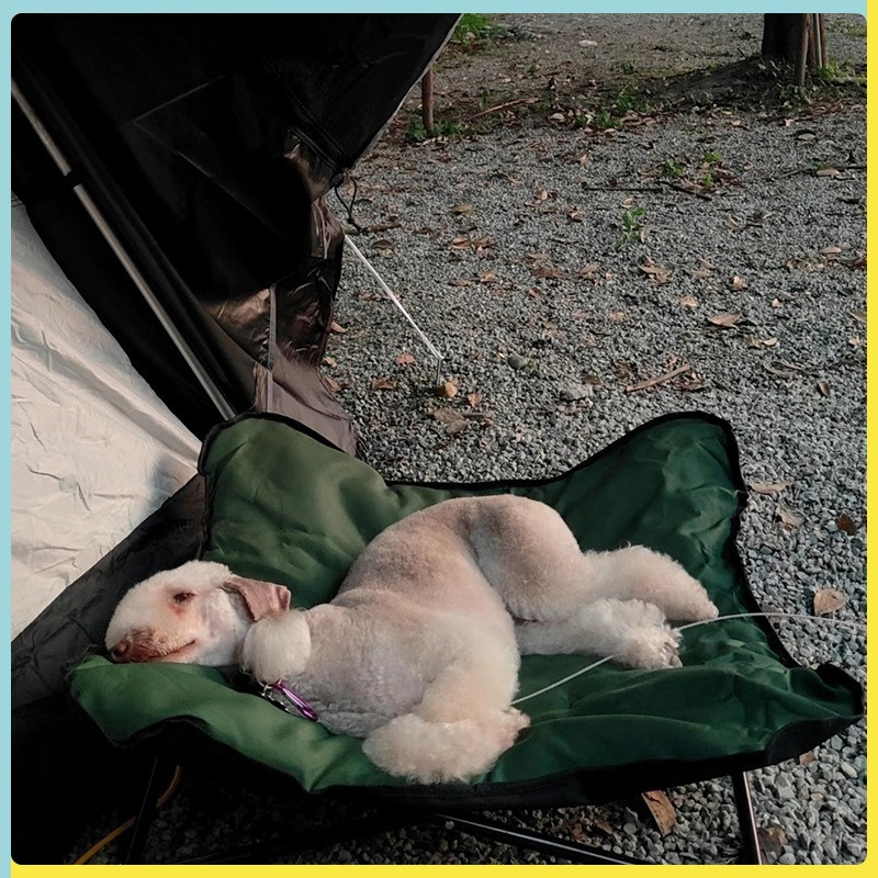 Cama Plegable Portátil para Ma - Outdoor Camping Dog Bed reseña y precio